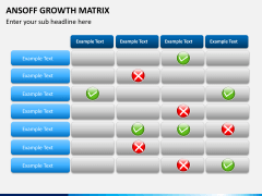 Ansoff growth matrix PPT slide 5