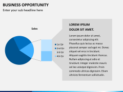 Business opportunity PPT slide 11