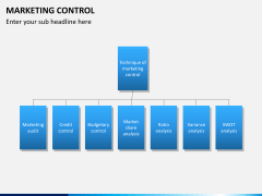 Marketing control PPT slide 3