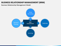 Business Relationship Management (BRM) PPT Slide 10