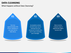 Data Cleansing PPT Slide 5