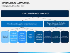 Managerial Economics PPT Slide 5