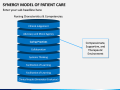 Synergy Model of Patient Care PPT Slide 5