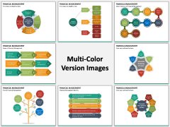 Financial Management PPT Slide MC Combined