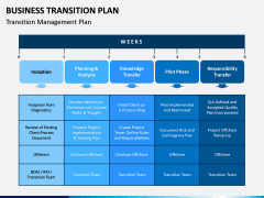 Business Transition Plan PPT Slide 3