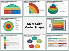 Business Relationship Management (BRM) PPT Slide MC Combined