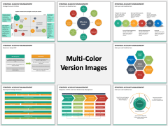 Strategic account management multicolor combined