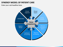 Synergy Model of Patient Care PPT Slide 2