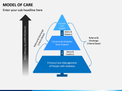 Model of Care PPT Slide 3