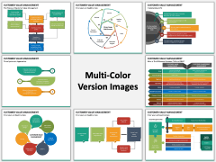 Customer Value Management PPT Slide MC Combined