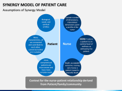 Synergy Model of Patient Care PPT Slide 4