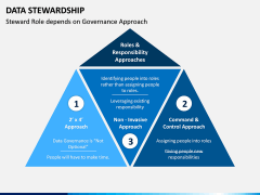 Data Stewardship PPT Slide 9