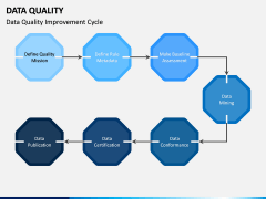 Data Quality PPT Slide 9