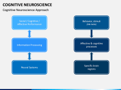 Cognitive Neuroscience PPT Slide 4