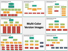 Organizational structure PPT slide MC Combined