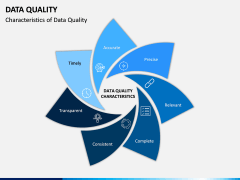 Data Quality PPT Slide 6