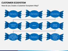 Customer Ecosystem PPT Slide 12