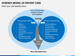 Synergy Model of Patient Care PPT Slide 1