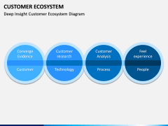 Customer Ecosystem PPT Slide 8