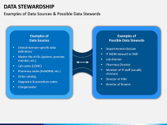 Data Stewardship PPT Slide 11