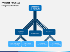 Patient Process PPT Slide 5