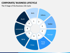 Business Lifecycle PPT Slide 12