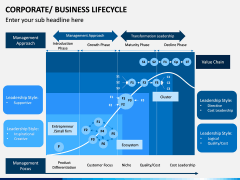 Business Lifecycle PPT Slide 13