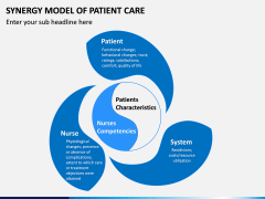 Synergy Model of Patient Care PPT Slide 3