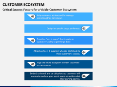 Customer Ecosystem PPT Slide 14