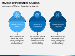 Market Opportunity PPT Slide 9