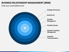 Business Relationship Management (BRM) PPT Slide 13