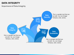 Data Integrity PPT Slide 2