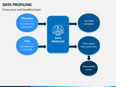 Data Profiling PPT Slide 1