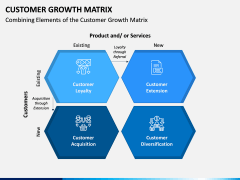 Customer Growth Matrix PPT Slide 3