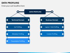 Data Profiling PPT Slide 2