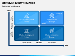 Customer Growth Matrix PPT Slide 4