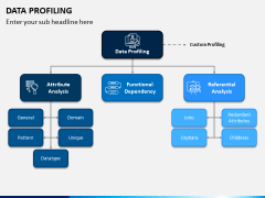 Data Profiling PPT Slide 4