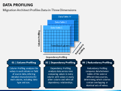 Data Profiling PPT Slide 8