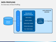 Data Profiling PPT Slide 3