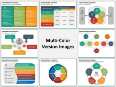 Organizational Diagnosis Multicolor Combined