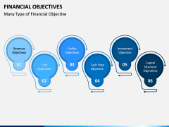 Financial Objectives PPT Slide 2