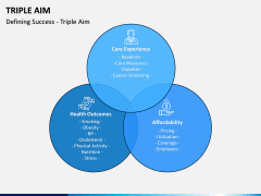 Triple Aim PPT Slide 7