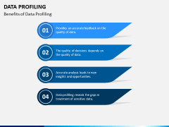 Data Profiling PPT Slide 7